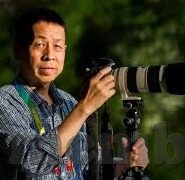 mk官网中国-MK官网的中国视角，品味传统美学与现代技术的融合